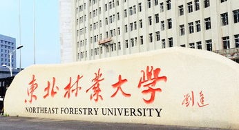 东北林业大学艺术设计（独立本科段）招生简章